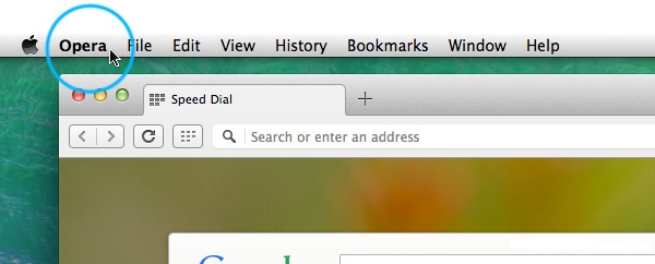 Screenshot showing the Opera menu item
