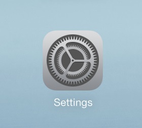 Screenshot showing the Settings icon on the Home screen